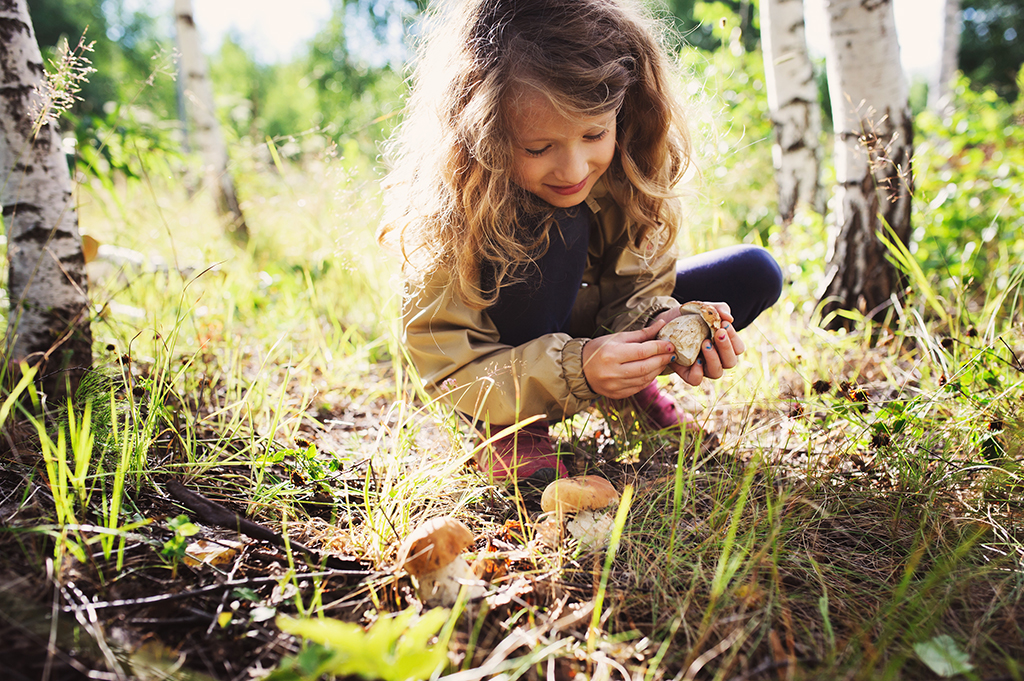 nature-blog-post-image