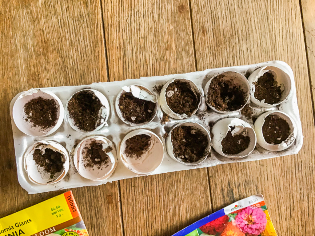 eggshell-garden3