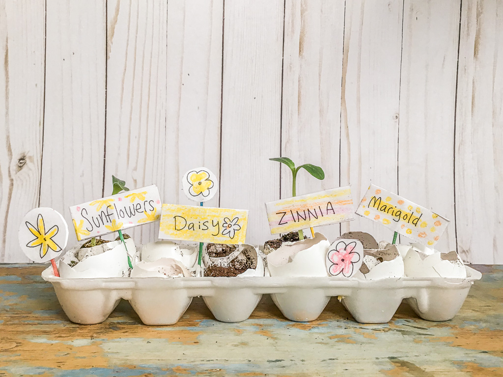 eggshell-garden8