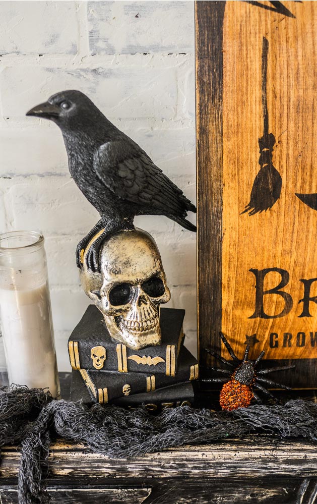 2 Crow and Skull