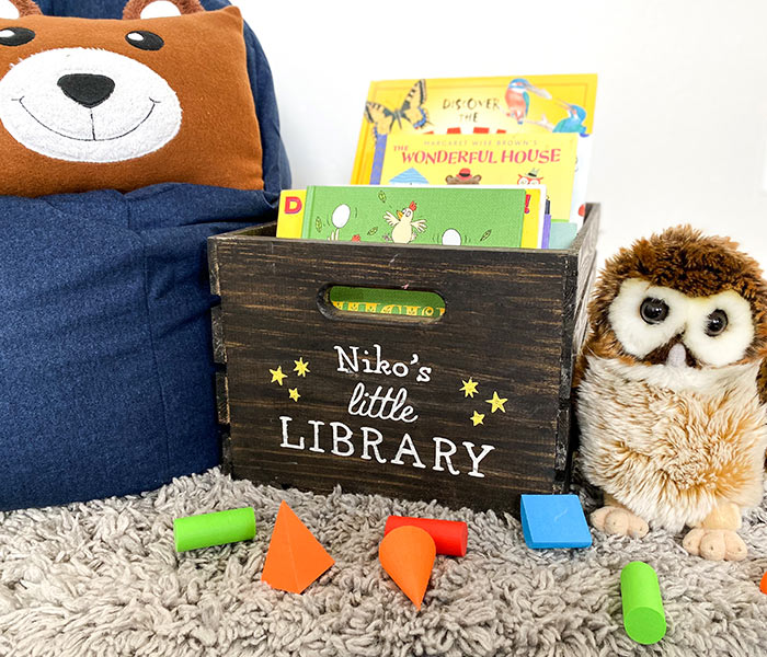 children-little-library-crate Little Library Crate