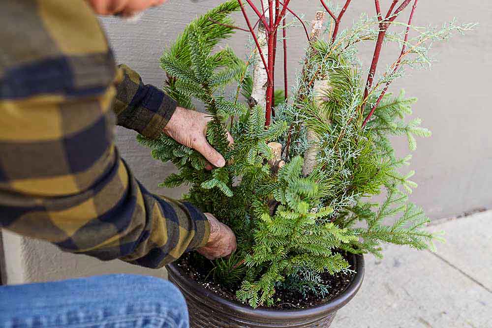 greenery-36 Creating Winter Porch Greenery