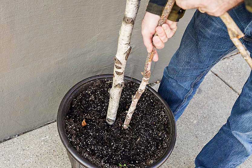 greenery-40 Creating Winter Porch Greenery