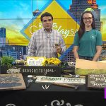 KENS 5 – San Antonio, TX