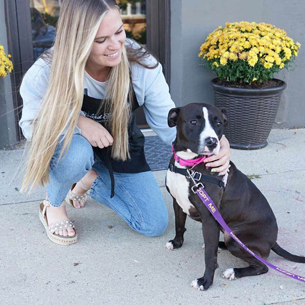 workshops-community-events Bnb employee petting a dog